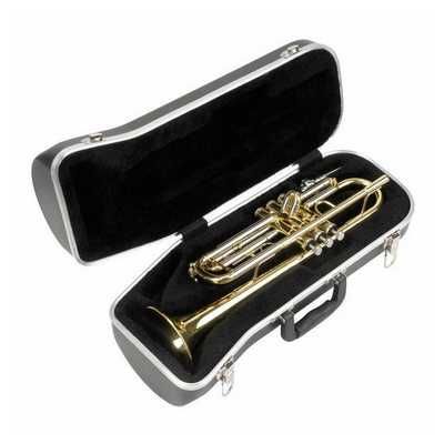 Estojo para Saxofone ou Trompete ( APENAS o estojo, sem instrumento )