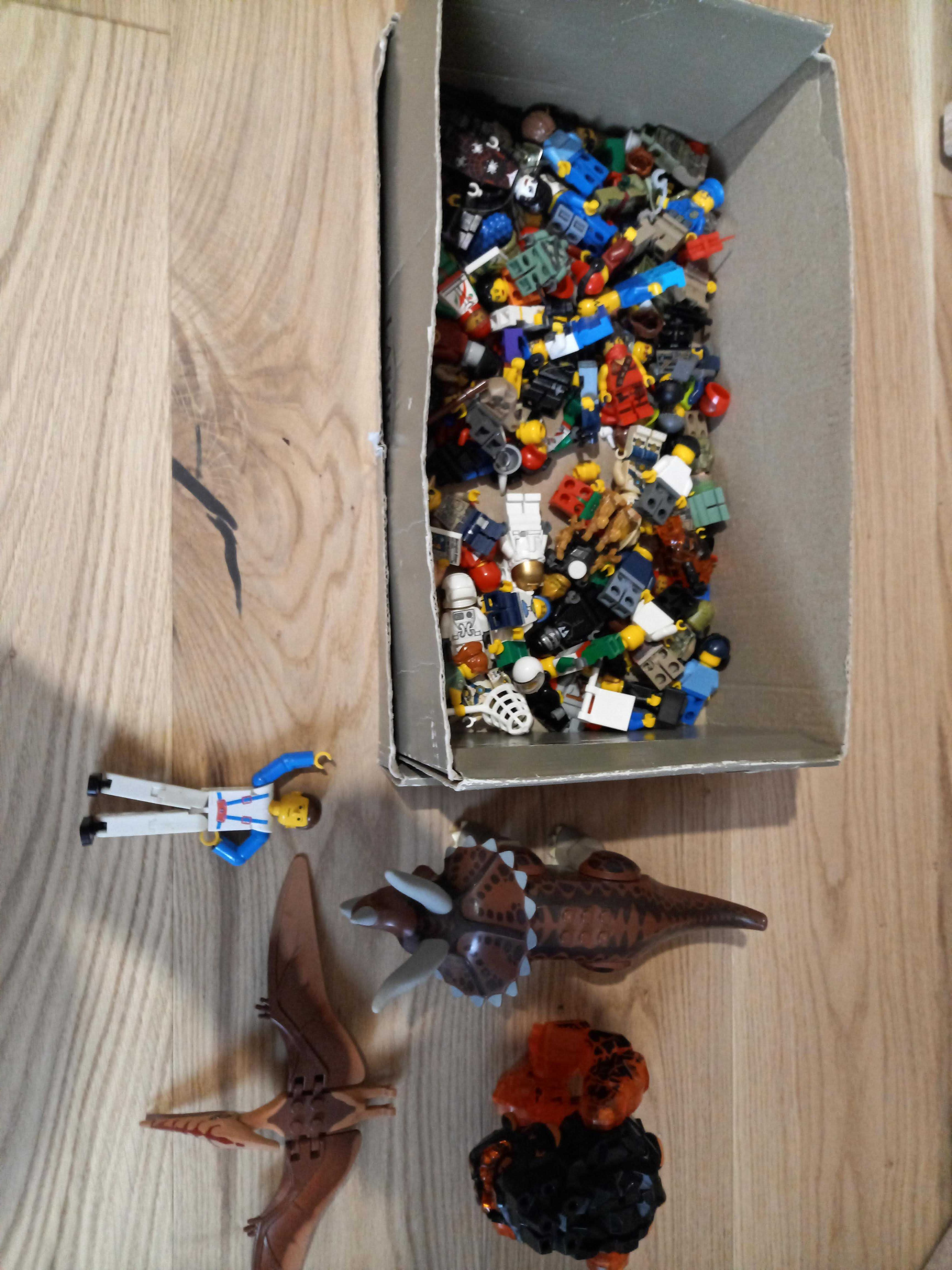 Klocki Lego (11,5 kg)