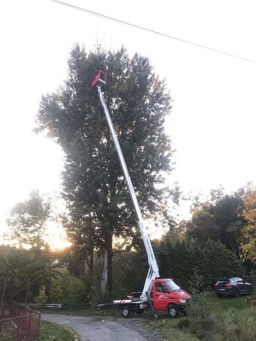 Wycinka i przycinanie drzew Darmowa wycena !!!