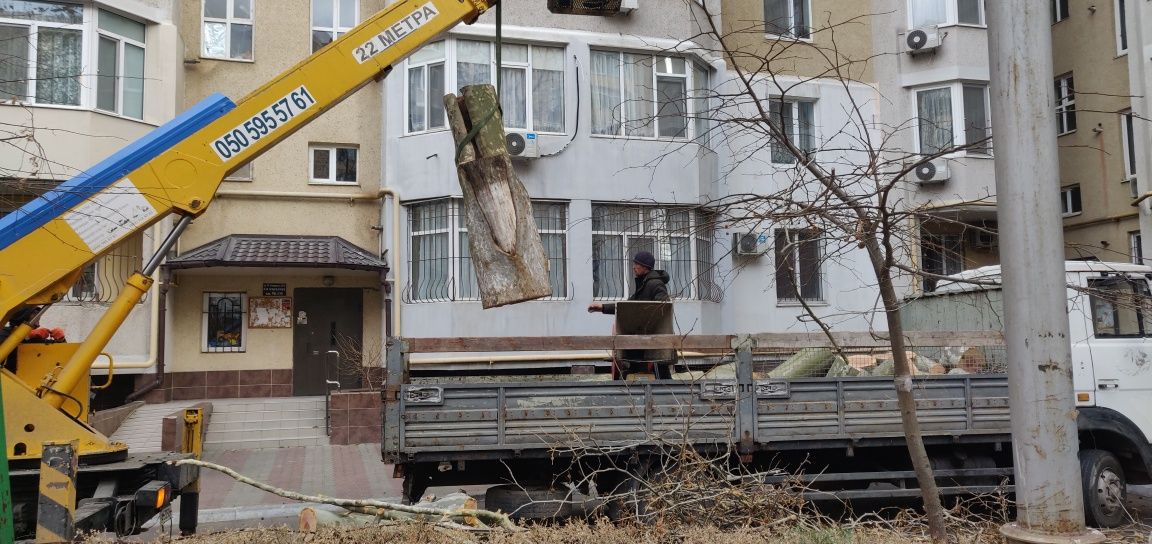 Спил аварийных деревьев