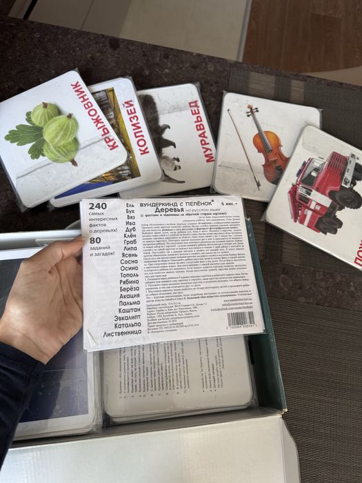 Подарунковий набір карток Домана «ВЕЛИКА ВАЛІЗА» Рос