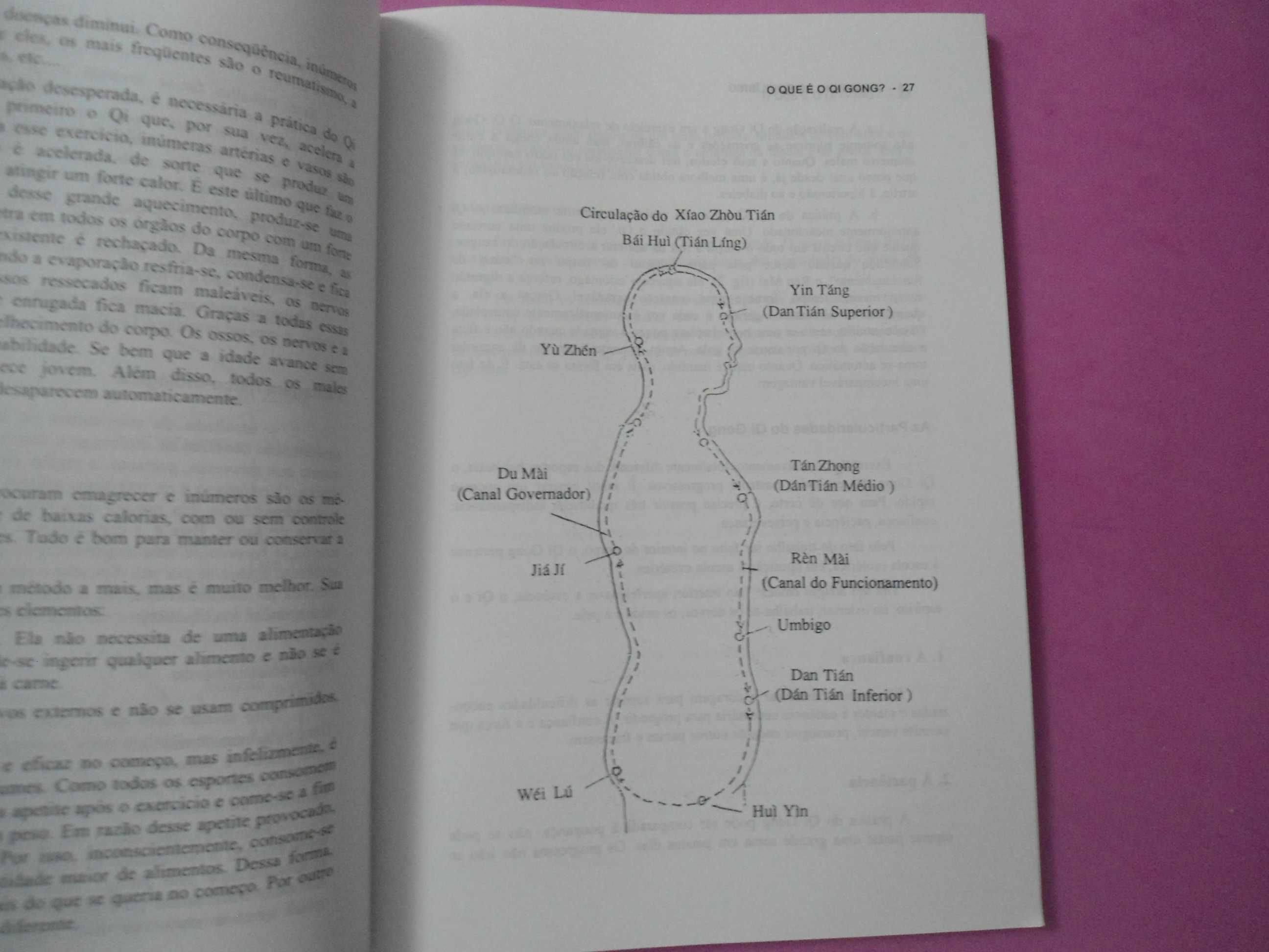 A Caminho do equilíbrio (medicina chinesa) de Tong Juo Shian