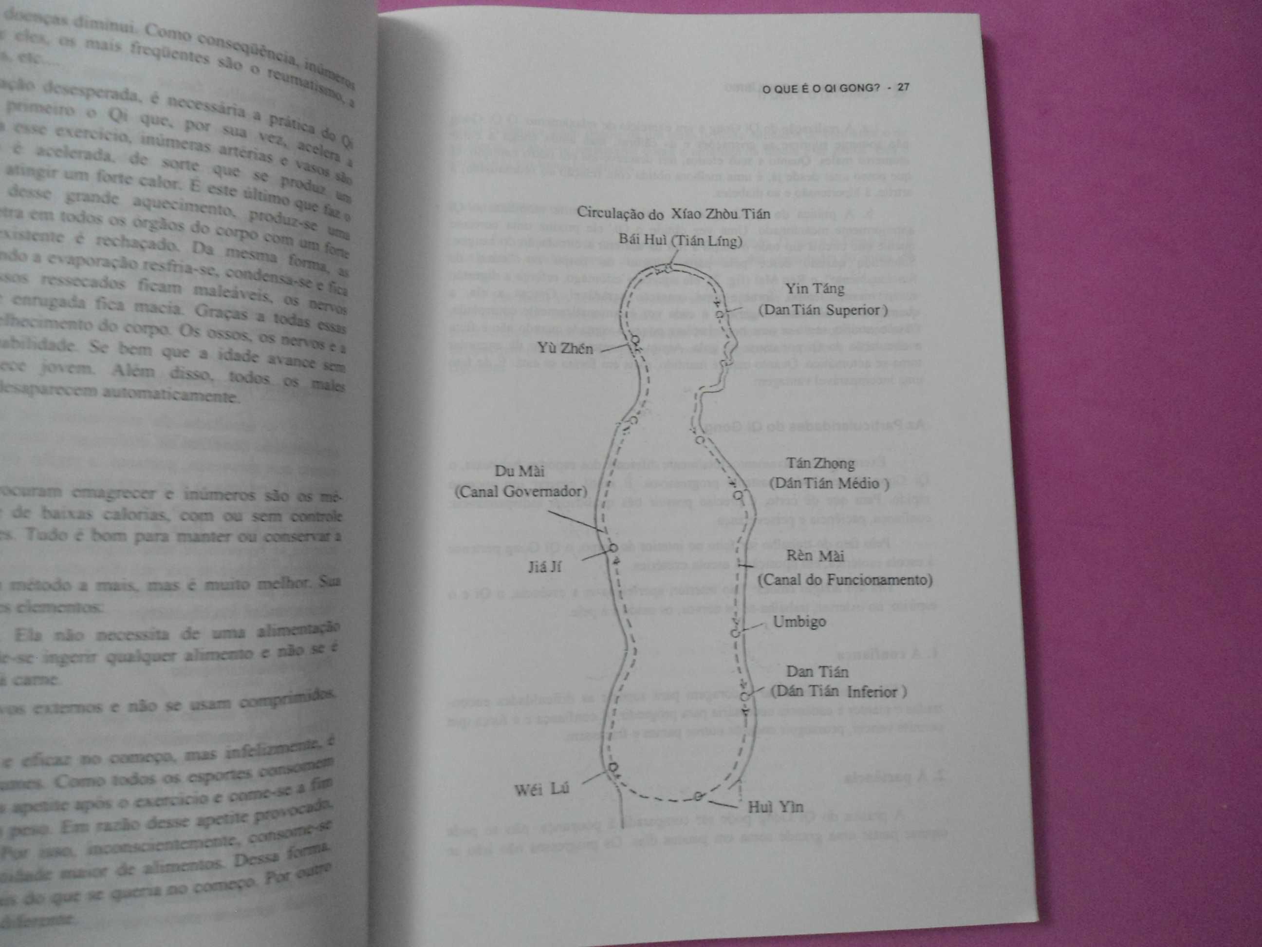 A Caminho do equilíbrio (medicina chinesa) de Tong Juo Shian