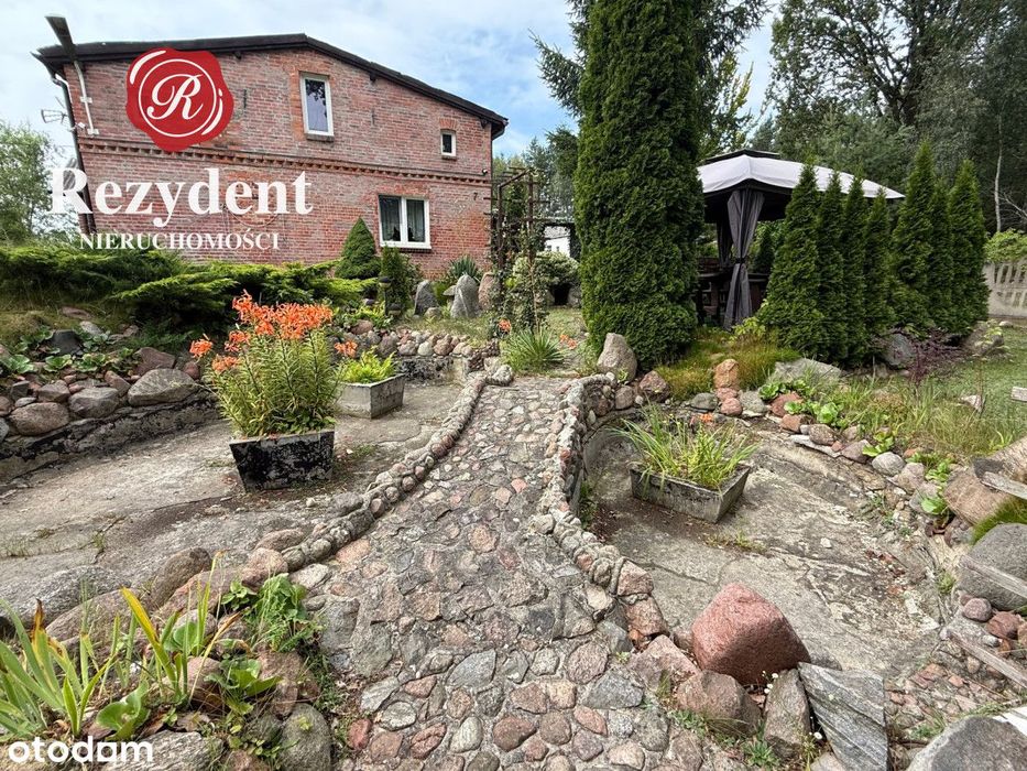 Gospodarstwo 10 km od Warlubia i Nowego-od zaraz