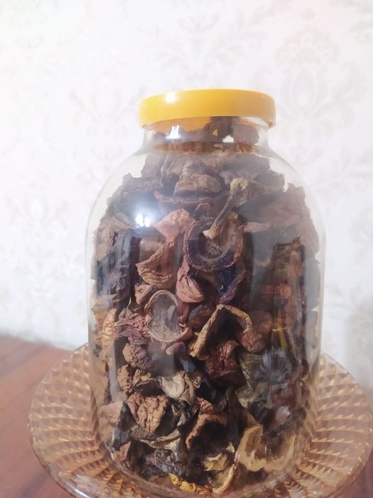 Сушені гриби (підберезники)