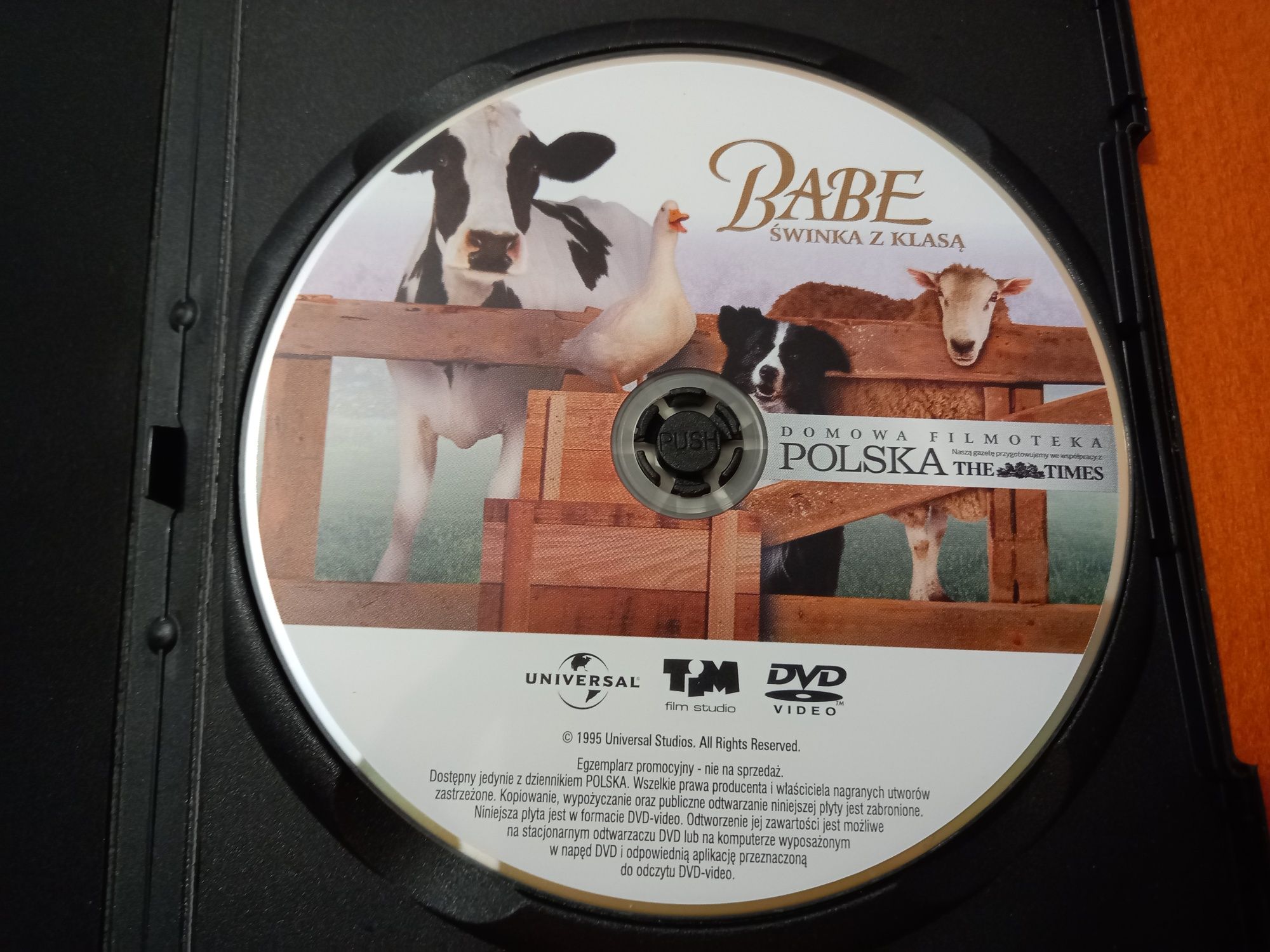 Film Babe Świnka z Klasą DVD Video