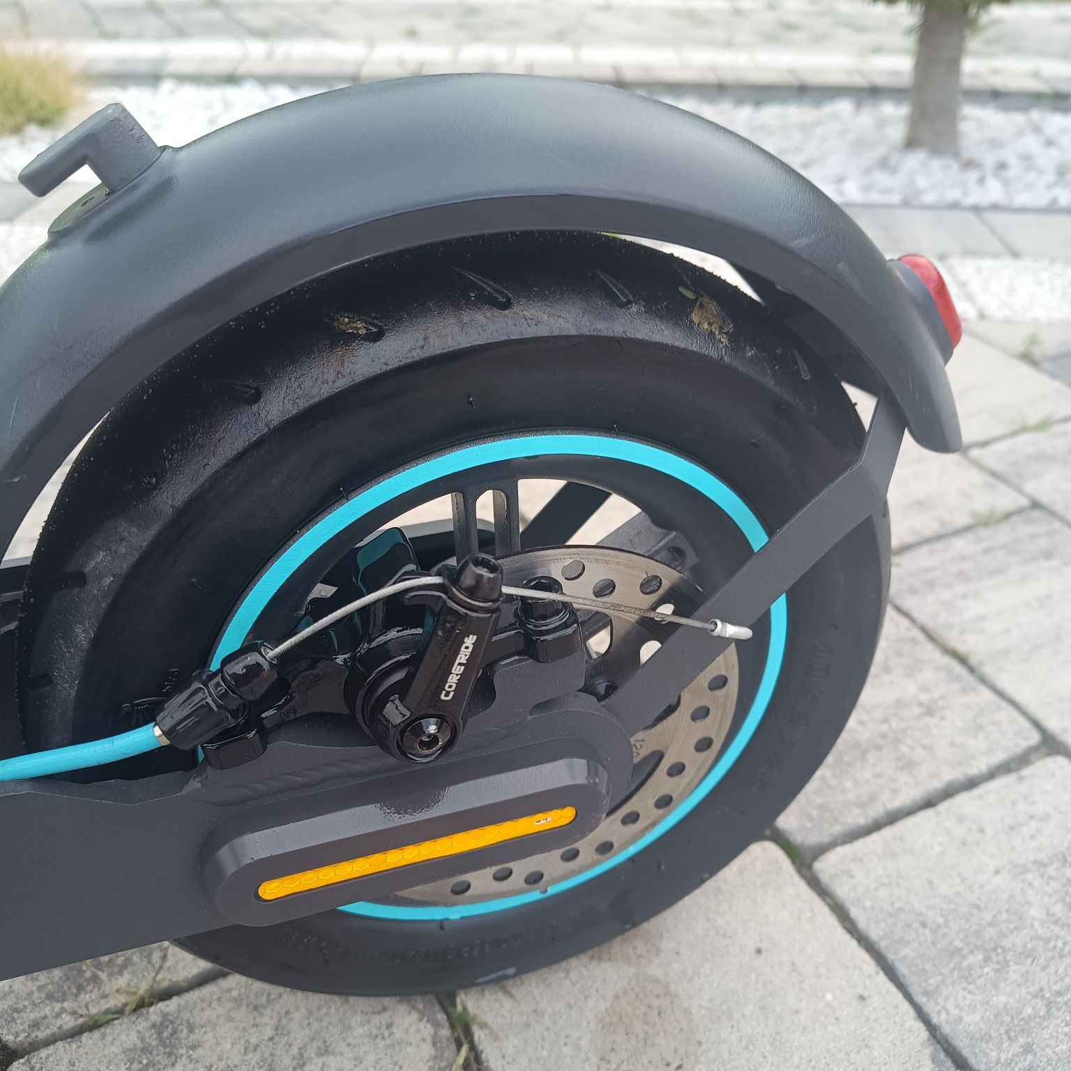 Motus Scotty 10 lite
