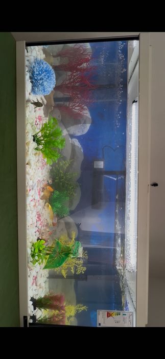 Aquario 80 litros