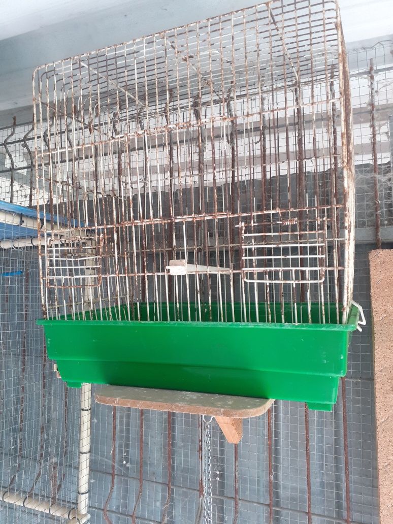 Dou varios viveiros e gaiolas