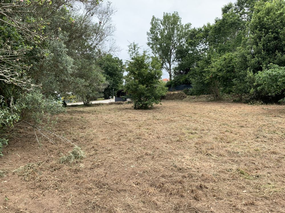 Terreno seixas, caminha com projecto aprovado