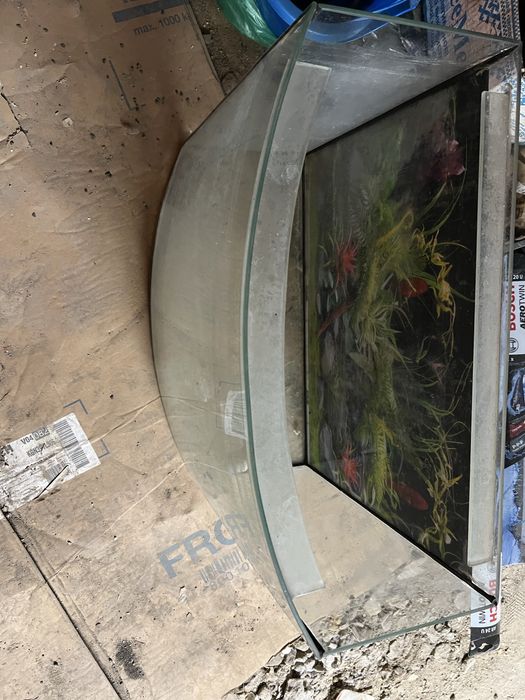 Аквариум  для рыб