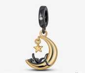 Charms pandora apart S925 srebro