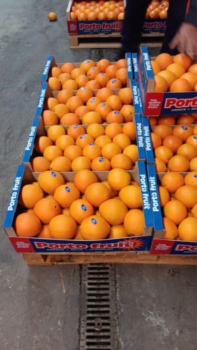 Оптовий продаж мандарин з Греції