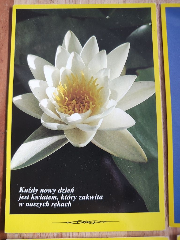 5 pocztówek i 1 kartka pocztowa z aforyzmami vintage