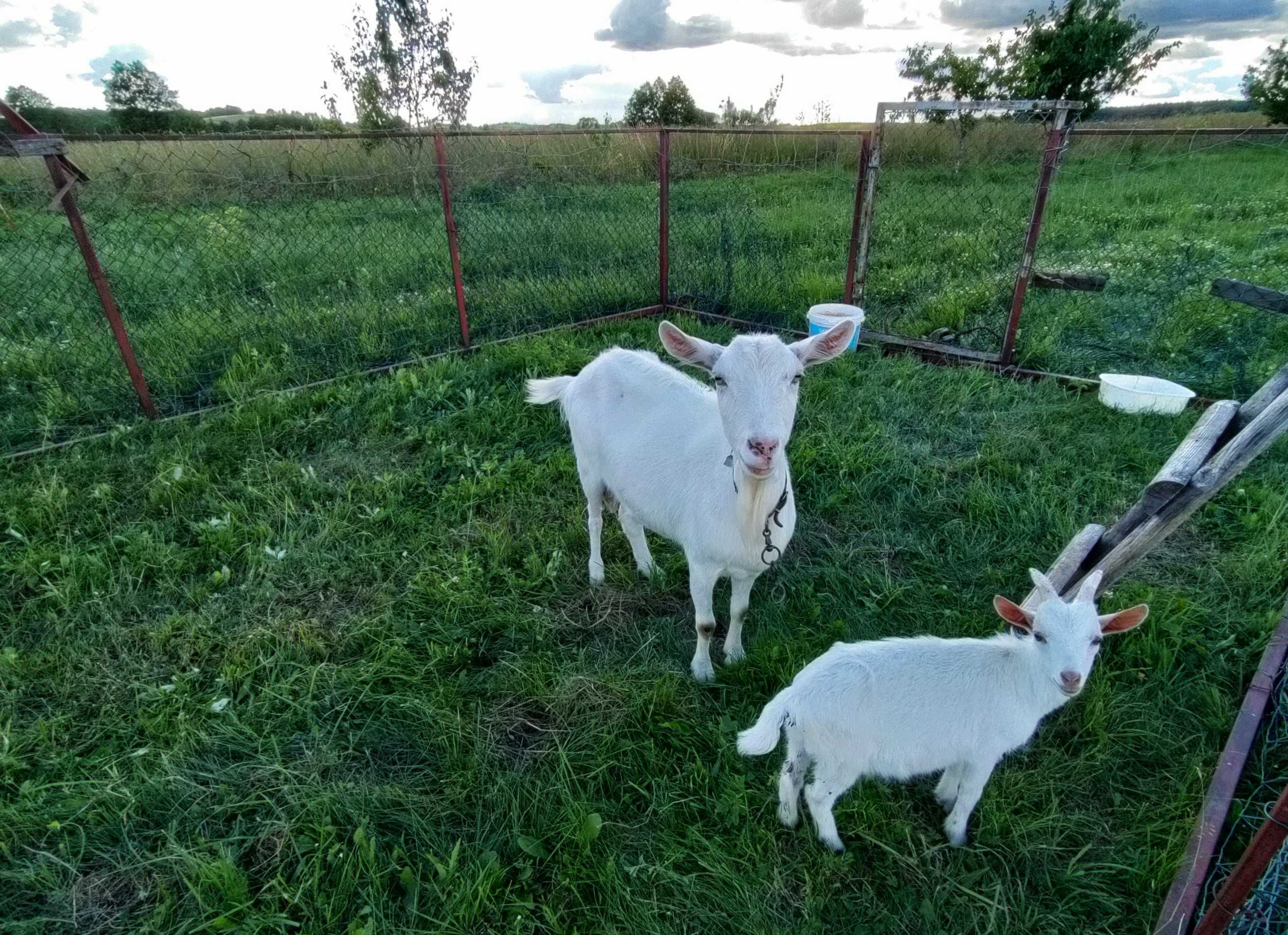 Mazury,  agroturystyka nad jeziorem