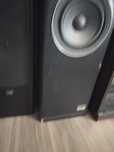 Pioneer Kolumny 2 Szt. Prologue 100