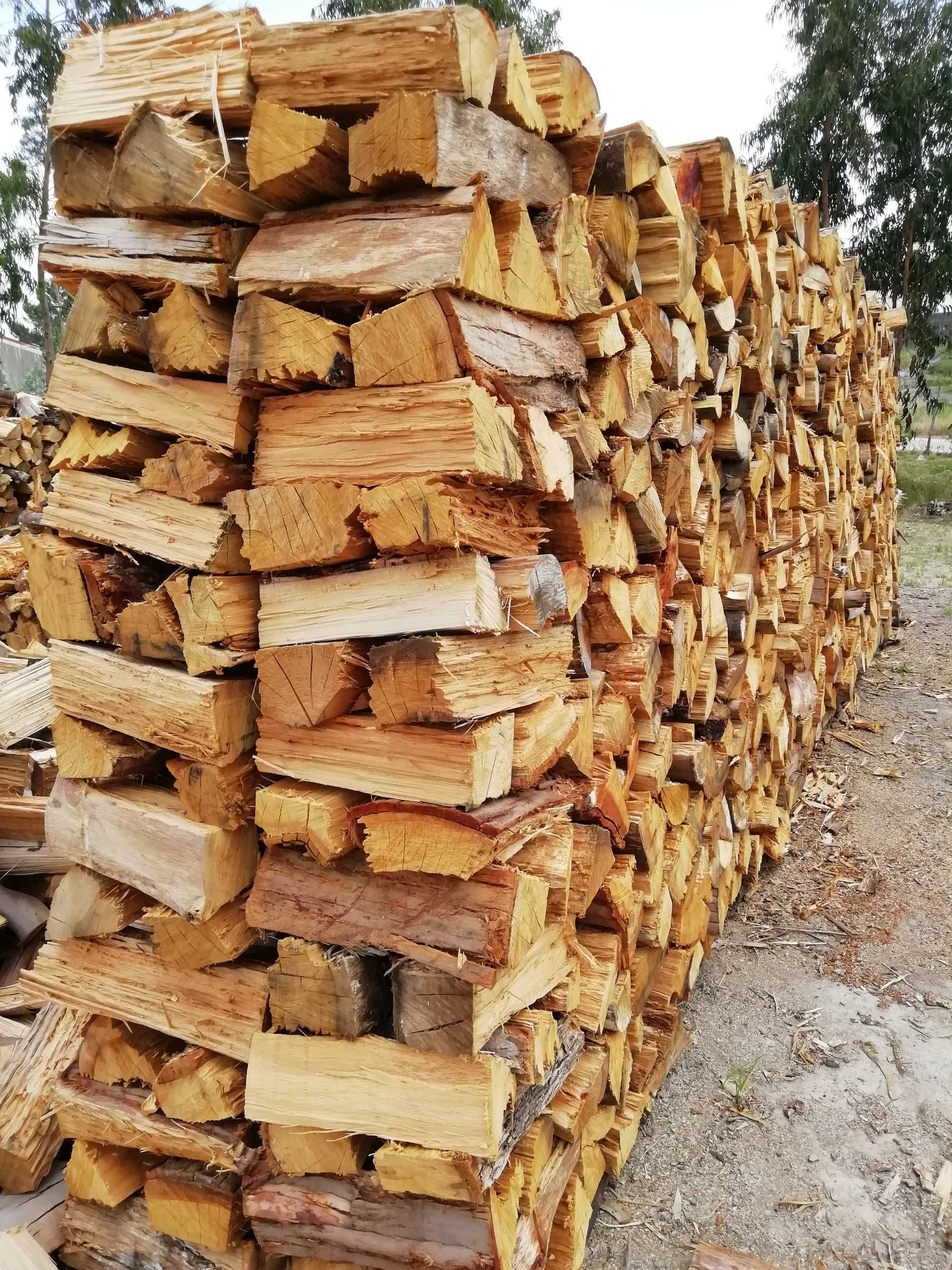 Lenha para lareiras