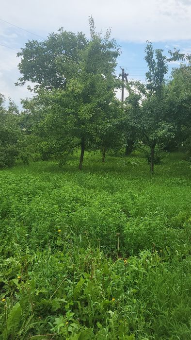 Ексклюзив! Ділянка 12сот. під забудову,с.Клітчин