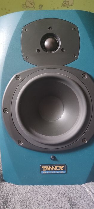 Tannoy reveal made in Poland