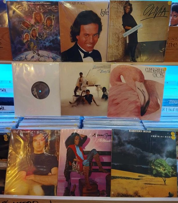 Vinil - U2,Doce,Fausto,Xutos,Pink Floyd,J Hendrix,Morrissey,Bowie,Cohe