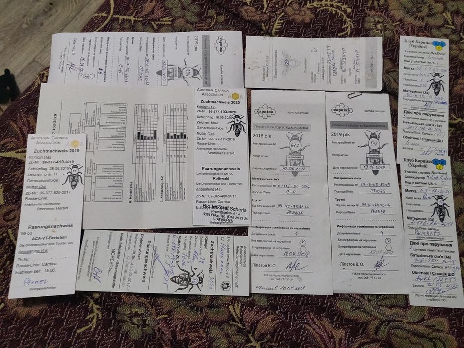 Бджоломатка, матка, королева бджіл