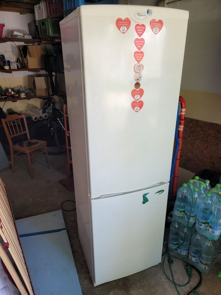 Lodówka Whirlpool *180cm* | Możliwość dostawy