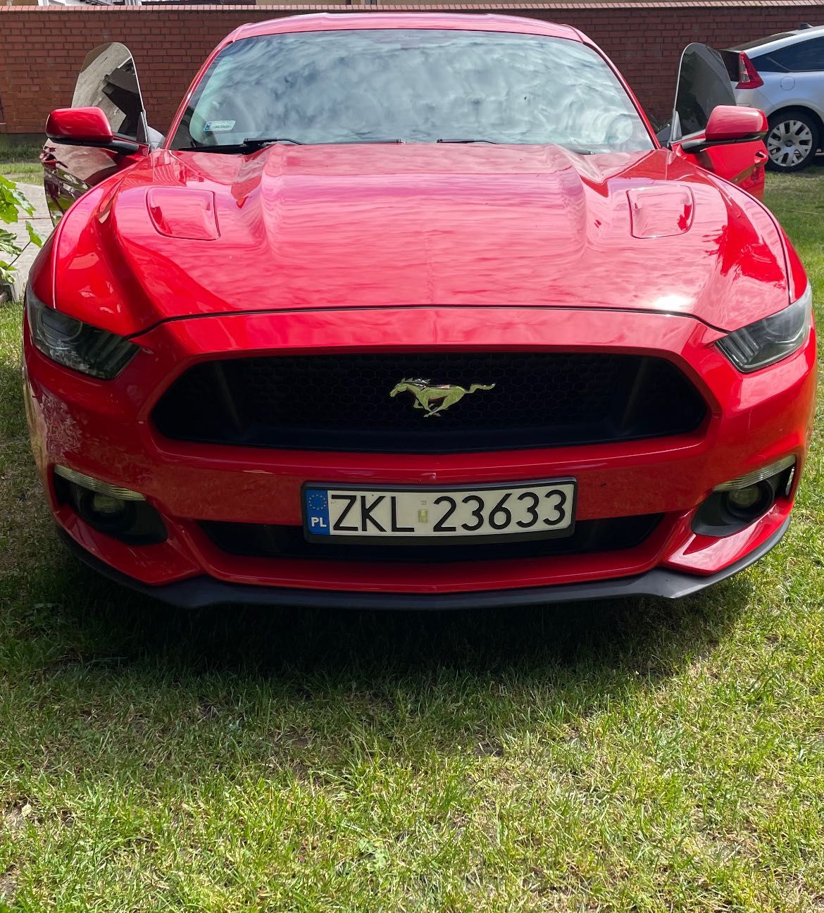 Mustang GT 2016 5.0