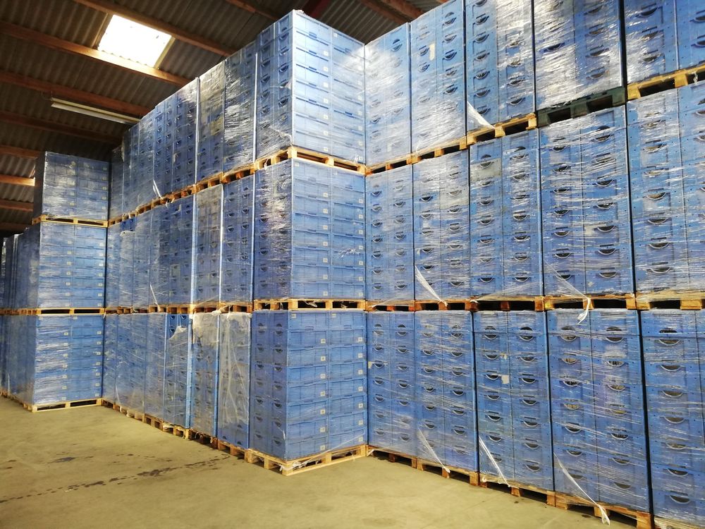 Skrzynka plastikowa, pojemnik plastikowy 60x40x20 Polecam!