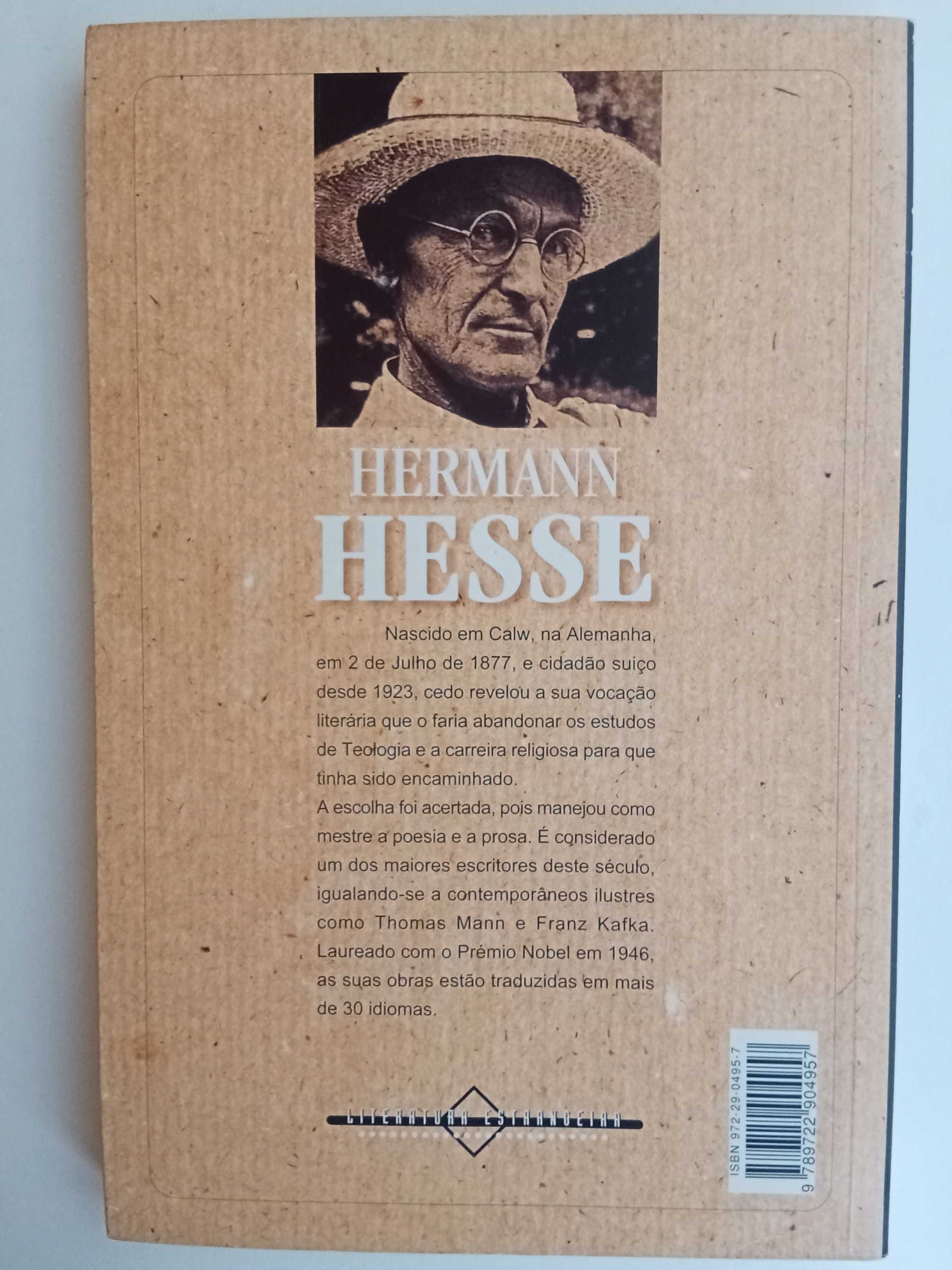 Herman Hesse - Robhalde