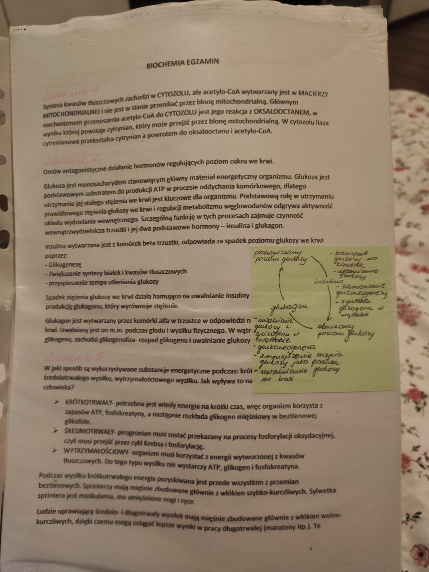 Biochemia notatki na studia