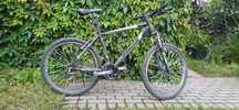 Rower MTB Folta acedo