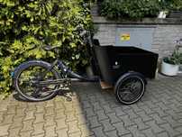 Rower cargo, z koszem, riksza, TRIOBIKE HAFNIA, 7-BIEGOWY Elektryk