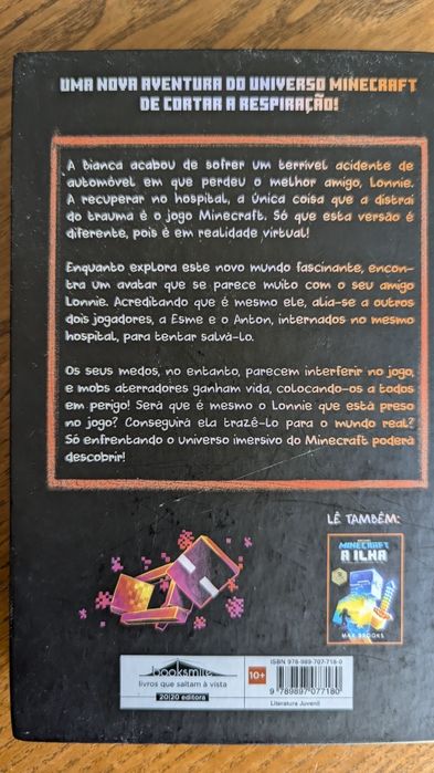 Minecraft: Crash no Limite