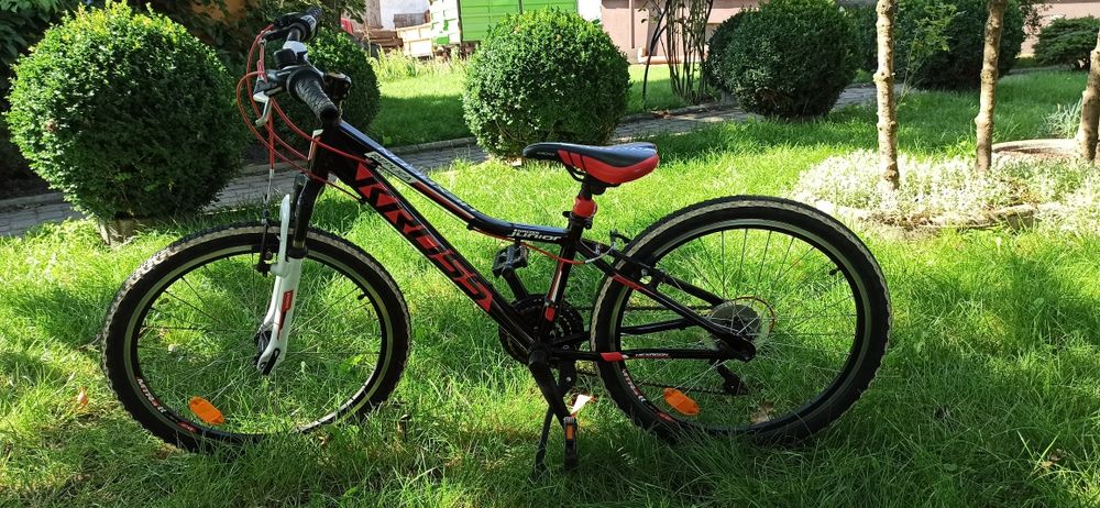 Rower Kross, koło 24 cale