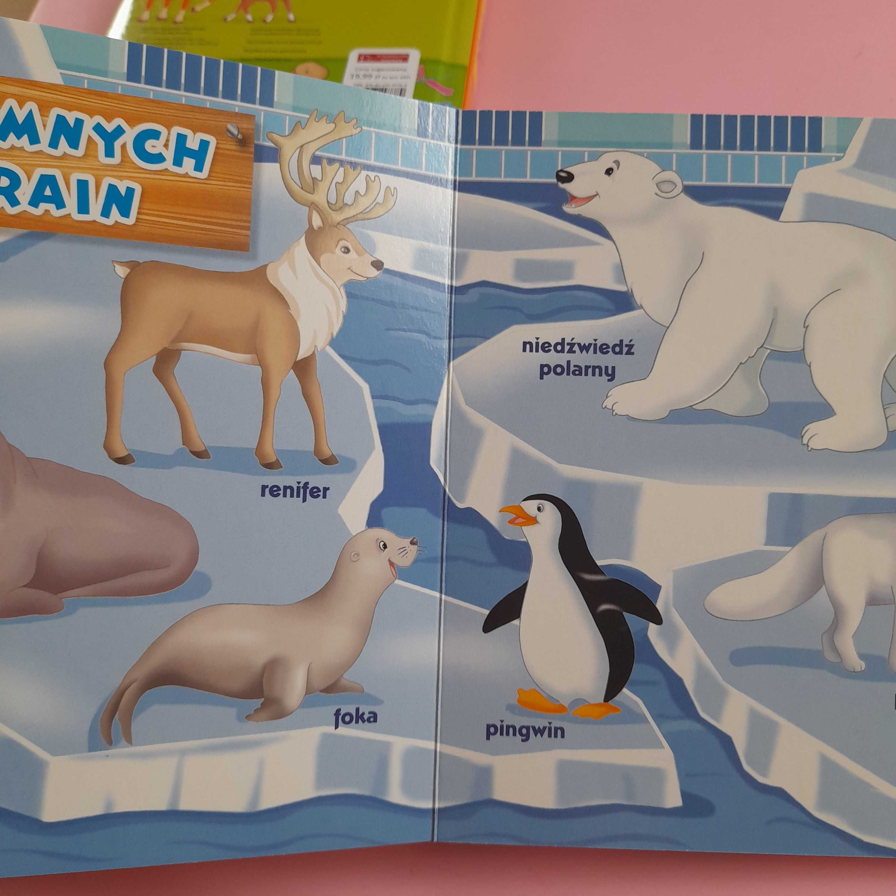 Książeczki zwierzęta W Zoo i Na Wsi dla dzieci ilustracje książka