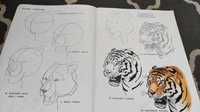 Książka do nauki rysunku dzikie zwierzęta