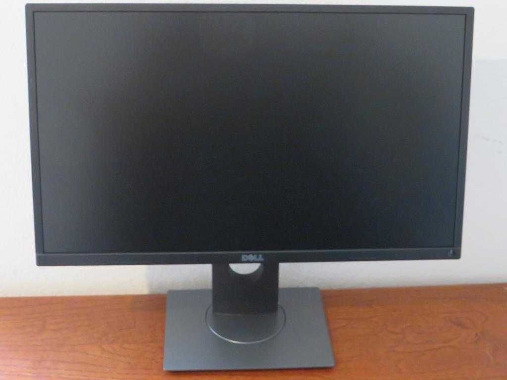 Monitor DELL profissional Modelo P2217H com PROBLEMA NA IMAGEM!