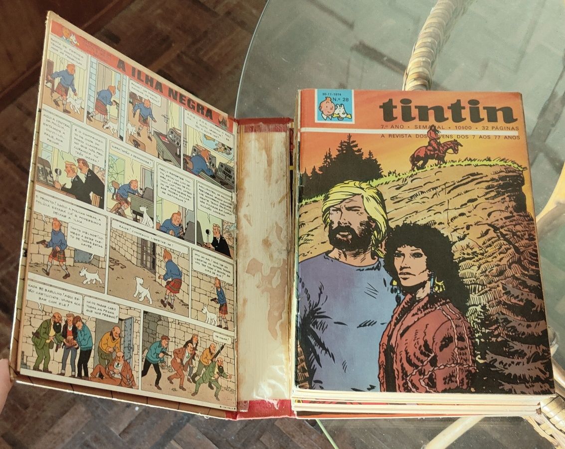 Coleção livros do Tintin