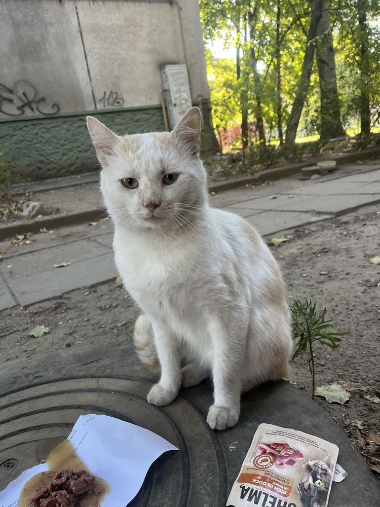Каспер, 1 рік