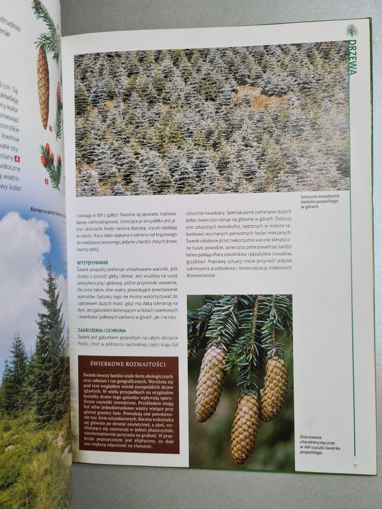 Encyklopedia przyrody - Rośliny