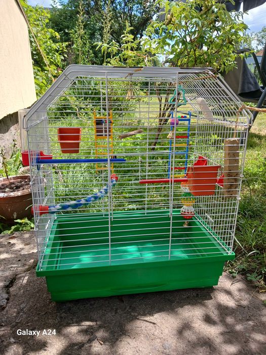 Клєтка для папуги