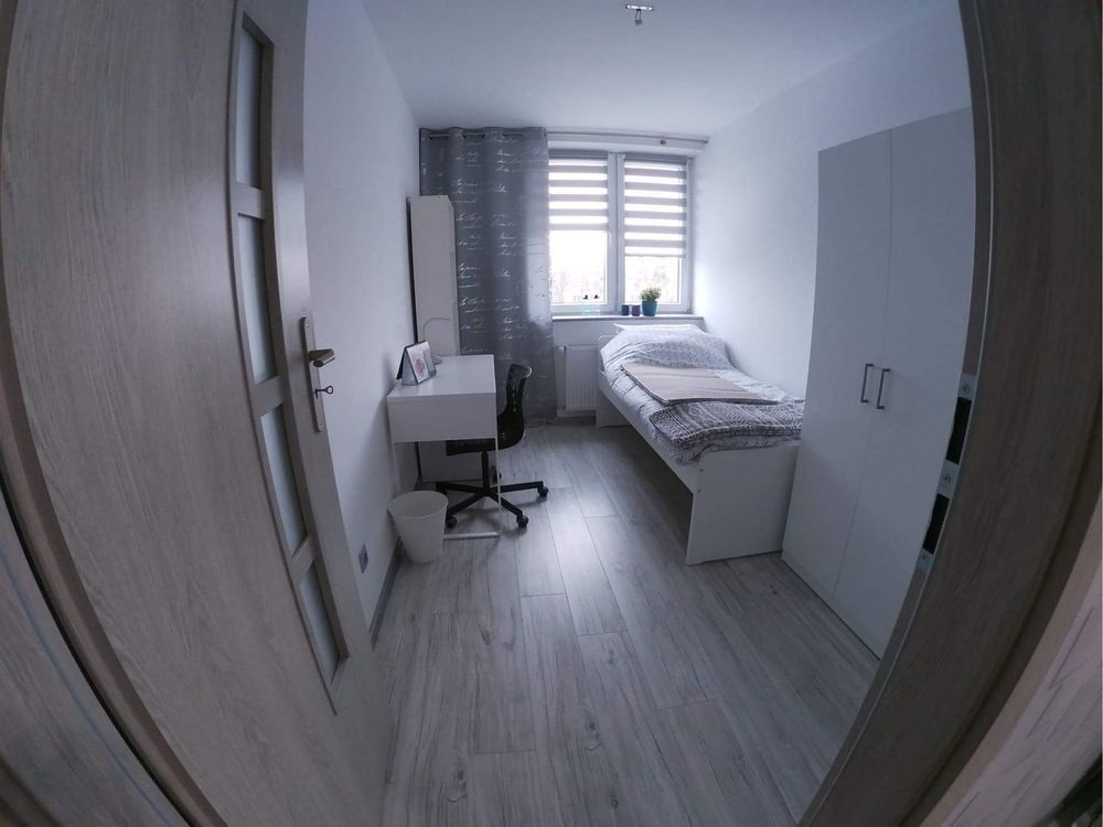 Pokój do wynajecia