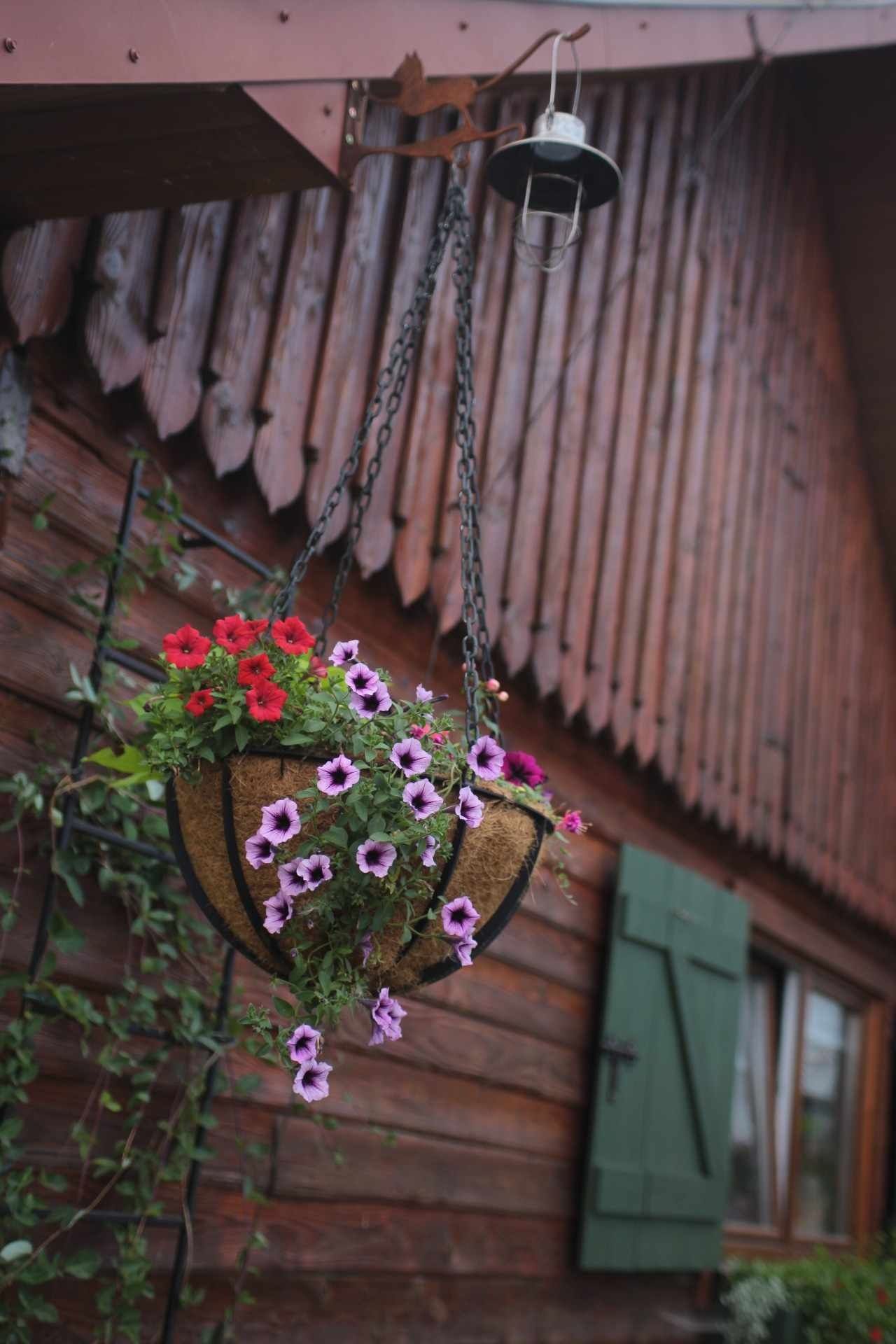 Donica ogrodowa ręcznie robiona wisząca donica