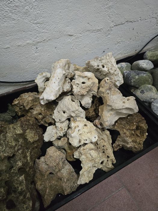 Pedras para Aquários Regional Perfurada