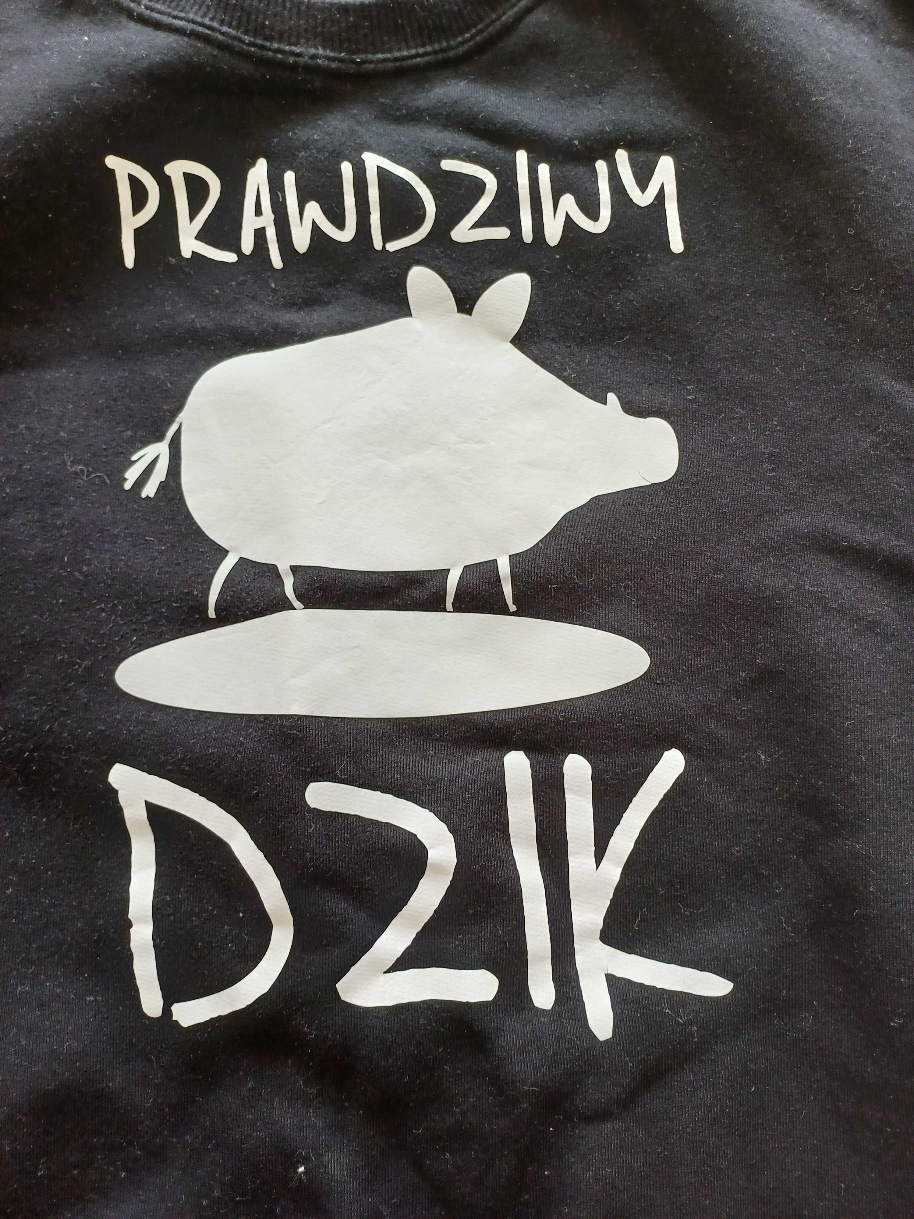 Bluza Dzik jak nowa