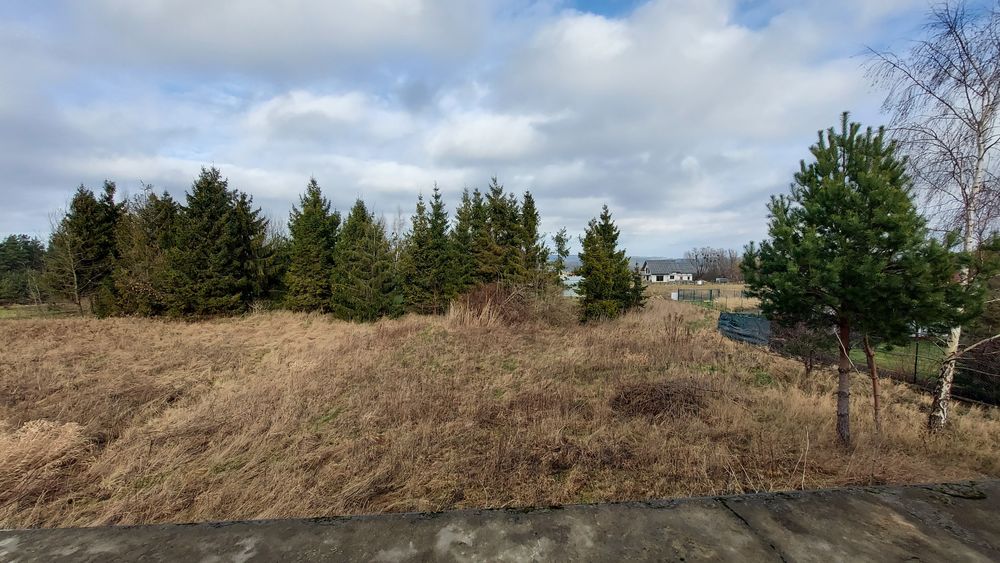 Wolnostojacy, wszystkie media