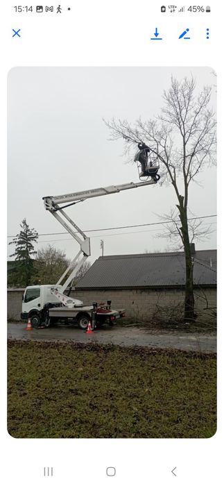 Usługi zwyżką i wycina drzew