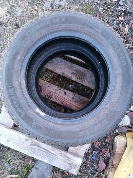 175 65 r14 зимова гума 2 шт Winer Paxaro