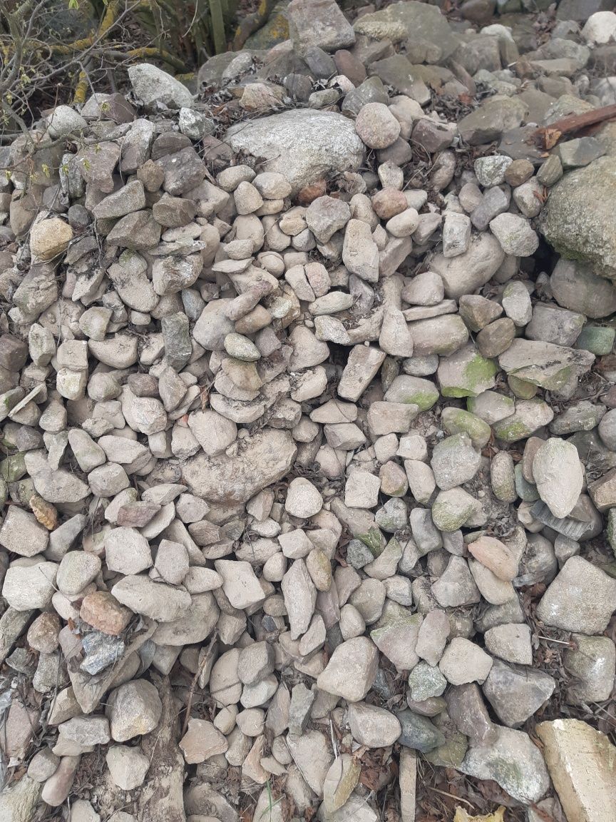 Kamienie polne, różne wielkości.