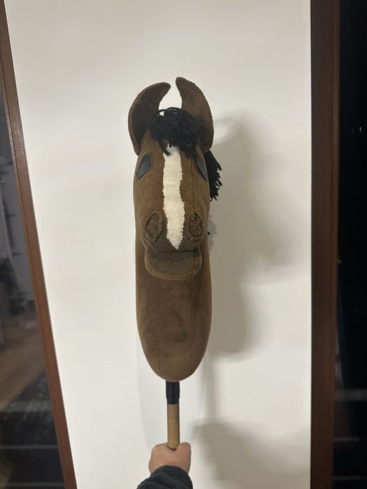 Hobby horse A3 ALP Sonia
